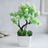 Buy Potted Artificial Bonsai Online