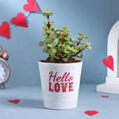 Special Love Jade Plant on Valentine For GF/BF/Wife or Husband