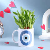 Lucky Bamboo In Evil Eye Mug - Special Gifts