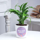 Precious Peace Lily: New year gifts