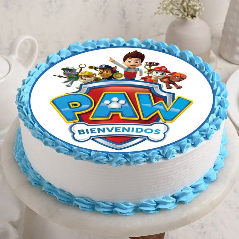 Pretty Paw Patrol Poster Cake for Kids Birthday