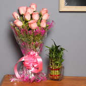 Pretty Rose Bamboo Combo - Good Luck Plant Indoors in Square Glass Vase with Bunch of 10 Pink Roses