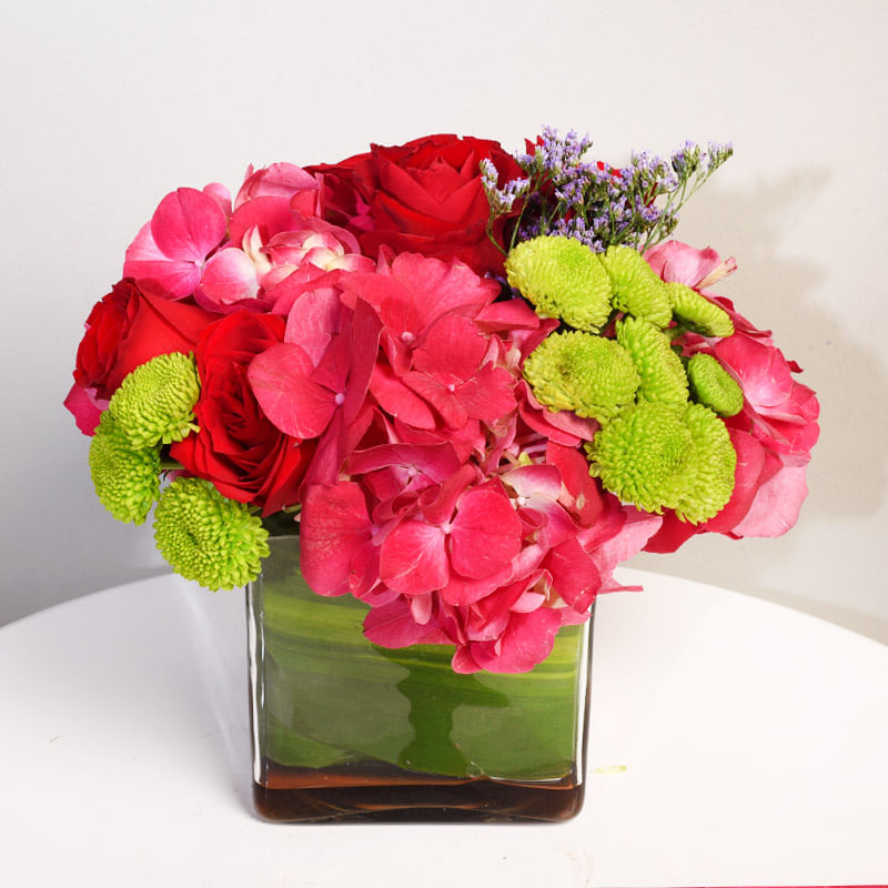Pretty Wild Rose Love