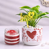 Prosperity Money Plant with Red Velvet Jar Cake