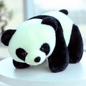 Beautiful Panda