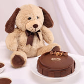 Puppy Teddy With Hazelnut Praline Cake