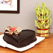 3 Layer Lucky Bamboo with Heart Shaped Chocolate Cake Combo