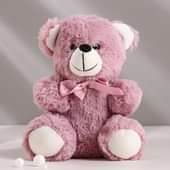 Purple 6 Inch Teddy