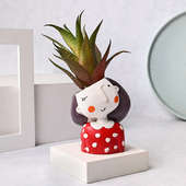 Quirky Girl Planter With Artificial Howarthia Plant Online