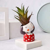 Buy Quirky Girl Planter With Artificial Howarthia Plant Online