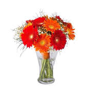 Radiant Orange  Red Gerbera Bouquet