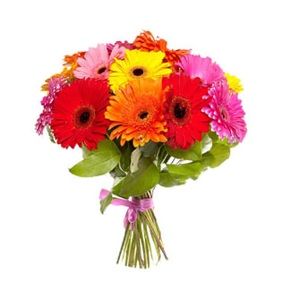 Radiant Rainbow Gerberas Bouquet