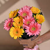 Radiant Pink And Yellow Gerbera Bouquet