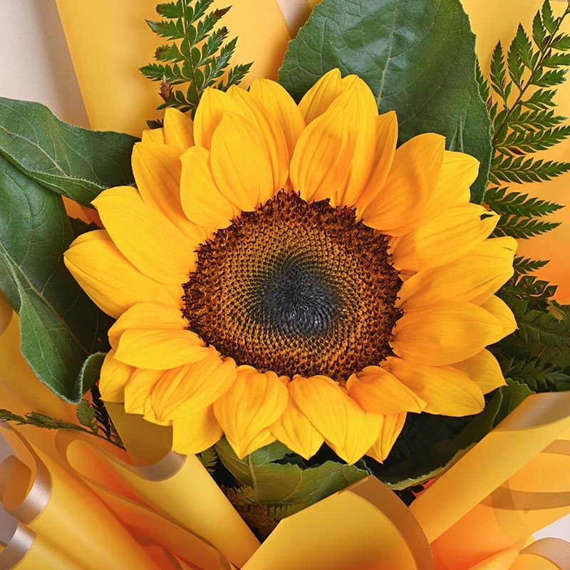 Radiating Sunshine: Friendship Day flowers