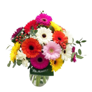 Rainbow Delight Gerbera Bouquet
