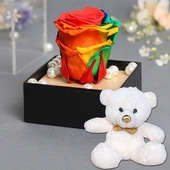 Rainbow Rose N Teddy Combo - 12 Inch Teddy with Forever Rainbow Rose