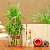 Lumba Rakhi Set With Two Layer Bamboo Plant