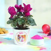 Personalised Cyclamen Plant for Holi