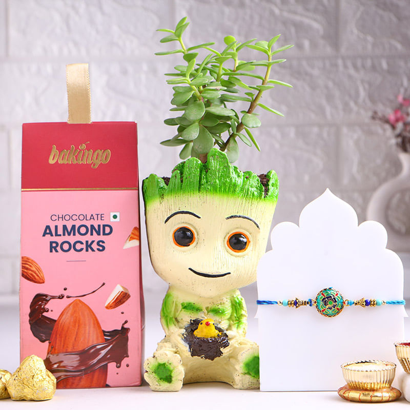 Rangriti Rakhi With Jade Plant N Almond Rocks