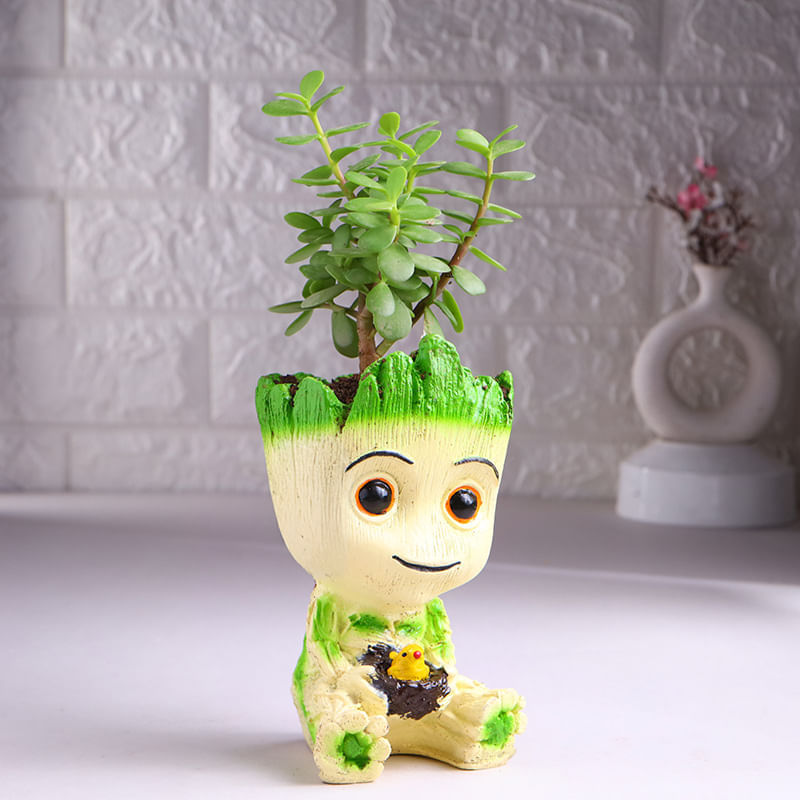 Product Image Video
