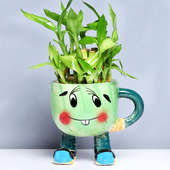 Send 2 Layer Bamboo Plant Online