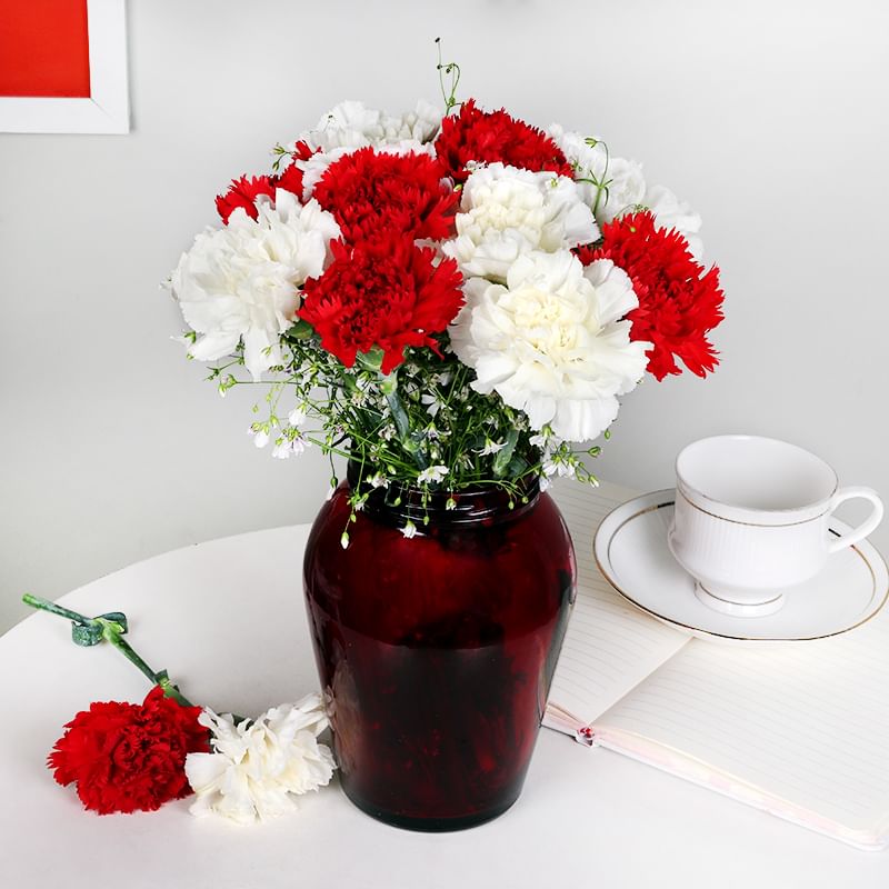 Red & White V Day Carnations