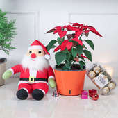 Red Christmas Themed Plant Combo