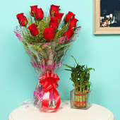 Red Green Charm - Good Luck Plant Indoors in Square Glass Vase with Bunch of 10 Red Roses