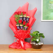 Red Money Plant Combo - Good Luck Plant Indoors in Gola Vase with Bouquet of 6 Dairy Milk Chocolates and 5 Red Roses