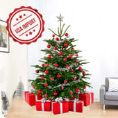Red N Silver Accents Christmas Tree