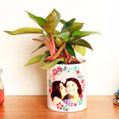 Red Philodendron Plant in a Personalised Mug - A Plant Gift for Mother