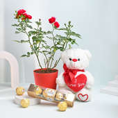 Red Rose Plant With White Teddy N Chocolates