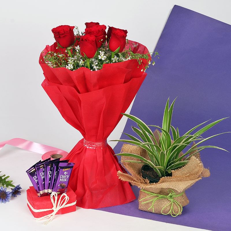Red Rose Spider Chocolate Vday Combo
