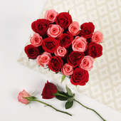 Red Rosey Velvet Cake: Arrangement of 20 Red and Pink Roses in Floweraura Box