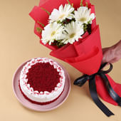 Red Velvet Cake N Gerberas Combo