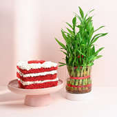 Red Velvet Heart Cake With Lucky Bamboo