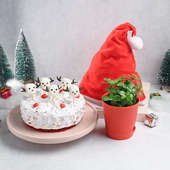 Red Velvet Snow Cake With Santa Cap N Jade Plant