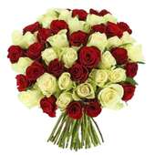 Buy Red White Rose Enchantment for Valentine