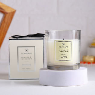 Refreshing Cardamom Scented Candle