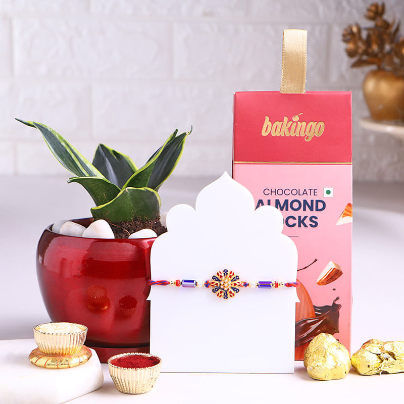 Regal Bloom Rakhi With Milt Plant N Almond Rocks