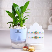 Regal Teal Rakhi Duo With Peace Lily Plant