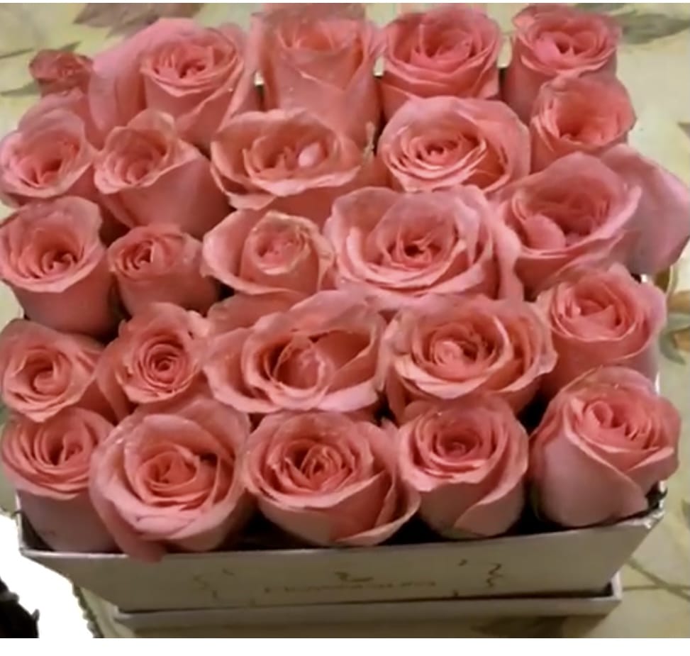 https://imgcdn.floweraura.com/review_cust/FB862489-9409-46CF-BB73-710F1D0C5C53.jpeg