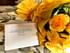Euphoric Yellow Symphony