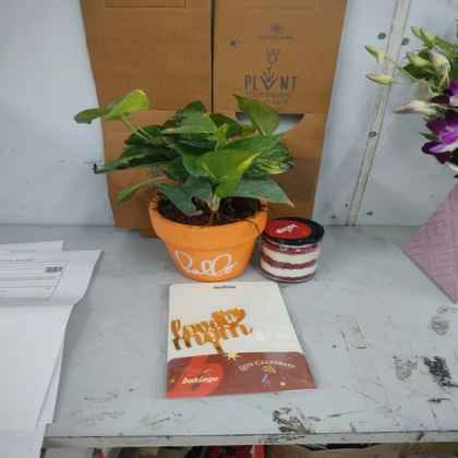 https://imgcdn.floweraura.com/reviews/71598_1.jpg
