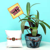 Foliage Indoor Plant Approx 6 Inch with Anchor Ceramic Vase and One Designer Rakhi