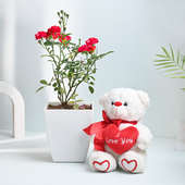 Rose Plant And Teddy day gift for lover
