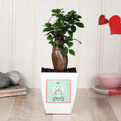Romantic Ficus Plant Gift For Your Valentine Partner