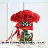 Romantic Red Carnations Arrangement