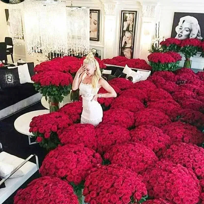 Paradise Of Romantic Red Petals