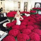 Paradise Of Romantic Red Petals